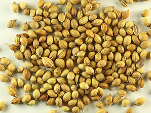 coriander coriander