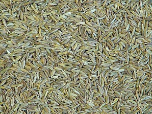 cumin-seeds cumin-seeds