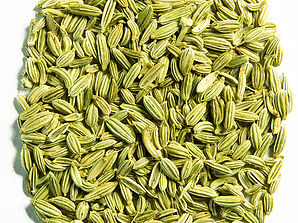 fennel fennel