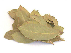 laurel laurel